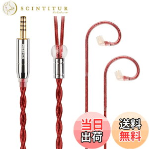 �y���������zNICEHCK RedAg �C���z�����P�[�u�� �F�F�ԁA�T�C�Y�Fqdc 2Pin 4.4mm