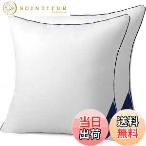 �y���������zBelinna �N�b�V���� �֎q�N�b�V���� �w������N�b�V���� �\�t�@�[�N�b�V���� �F�F�z���C�g�A�T�C�Y�F55cm*55cm�i2�j