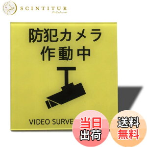 �y���������zSeagron �T�C���v���[�g ���ʃe�[�v�t�� 2mm�A�N������ ������� �F�F�h�ƃJ�����쓮���i�C���X�g�^�j�[�C�G���[�A�T�C�Y�F100x100mm�i�}�O�l�b�g�j