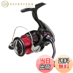 �y���������z�_�C��(DAIWA) �X�s�j���O���[�� 24�������lX LT 1000S-P/2000S-P/2000S �e�� (2024�N���f��) �F�F�u���b�N�A�T�C�Y�FLT2000S