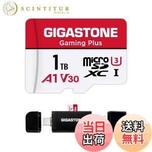 �y���������zGIGASTONE �}�C�N��sd�J�[�h 1TB-2-1 Core Group �F�F1TB Gaming Plus 1��+Type C�J�[�h���[�_�[�A�T�C�Y�F1TB