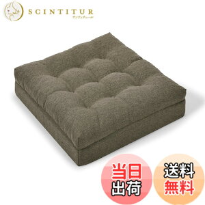 �y���������zHAVARGO ���z�c �N�b�V���� 12cm�Ɍ� �ᔽ��+������ ��w�\�� �t���A�N�b�V���� ���K���ɂ��Ȃ�Ȃ� ���� ���z�c ���p �F�F�R�[�q�[�A�T�C�Y�F50CM