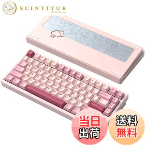 �y���������z�yWOBKEY Rainy75�L�[�{�[�h�z�J���̂悤�ȑŌ��� ���J�j�J���L�[�{�[�h 3WAY�ڑ� OS�݊��� �z�b�g�X���b�v��VIA�̑Ή� �J�X�^�}�C�Y�� �K�X�P�b�g�f�U�C�� �A���~�j�E���f�ގg�p RGB