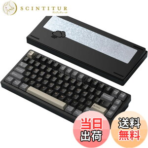 �y���������z�yWOBKEY Rainy75�L�[�{�[�h�z�J���̂悤�ȑŌ��� ���J�j�J���L�[�{�[�h 3WAY�ڑ� OS�݊��� �z�b�g�X���b�v��VIA�̑Ή� �J�X�^�}�C�Y�� �K�X�P�b�g�f�U�C�� �A���~�j�E���f�ގg�p RGB