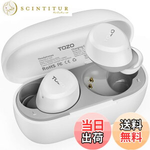 �y���������zTOZO A1-Mini ���C�����X�C���z�� ���^ �y�� AI �ʘb���m�C�Y���_�N�V���� bluetooth 5.3 IPX5�h�� �ő��32���Ԃ̍Đ� ��p�A�v���Ή� �J�X�^��EQ���[�h iOS/Android�Ή� �����A�V�X�^���g��