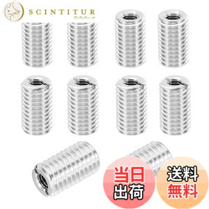 �y���������zPATIKIL �X���b�h�A�_�v�^�[�X���[�u�k���i�b�g �� �C���C���T�[�g�i�b�g�X�N�����[���f���[�T�[�ϊ��X�e�����X�X�`�[���t�@�X�i�[ �F�F�V���o�[�g�[���A�T�C�Y�FM12xM6x20mm