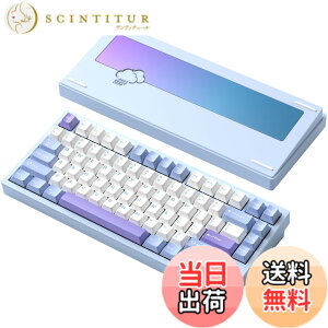 �y���������z�yWOBKEY Rainy75�L�[�{�[�h�z�J���̂悤�ȑŌ��� ���J�j�J���L�[�{�[�h 3WAY�ڑ� OS�݊��� �z�b�g�X���b�v��VIA�̑Ή� �J�X�^�}�C�Y�� �K�X�P�b�g�f�U�C�� �A���~�j�E���f�ގg�p RGB