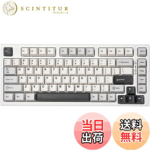 �y���������zYUNZII YZ75 75% �z�b�g�X���b�v�Ή����C�����X�Q�[�~���O�L�[�{�[�h RGB�o�b�N���C�g BT5.0/2.4G/USB-C�ADye Sub PBT�L�[�L���b�v Linux/Win/Mac�p �Z�K�F�؎擾 �F�F�z���C�g�A�T�C�Y�F�K�e��