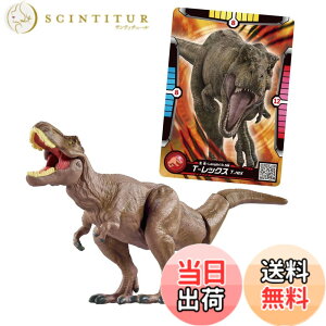 ���i�摜