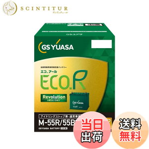 �y���������zECO R Revlolution �T�C�Y�FM(R)/55B20R