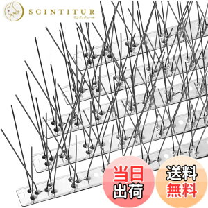 �y���������zOFFO ���悯 100%�X�e�����X �T�C�Y�F4102cm