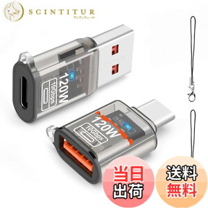 �y���������zleizhan USB Type-C �I�X����USB ���X�A�_�v�^�[�A10Gbps/120W Type-C����USB 3.1�����[�d�E�f�[�^�]���EOTG�A�_�v�^�[ �F�FTransparent black�A�T�C�Y�F120W USB - TypeC