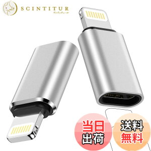 �y���������zOcbuo USB-C to ���C�g�j���O �ϊ��A�_�v�^*2�� Type C(���X�j�|Lightning�i�I�X�j�R�l�N�^ 3A�}���[�d USB C�ϊ��A�_�v�^ iPhone14 Pro/13/12�EiPad�EAirPods�Ȃ�iOS�@��Ή� �F�F�V���o�[