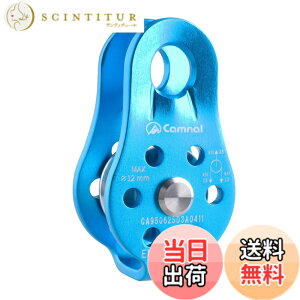�y���������zTRIWONDER �N���C�~���O �v�[���[ �}�C�N�� �V���O���v�[���[ ���[�v�v�[���[ �Œ�^ ���� ���[�N ���X�L���[ �V���O���V�[�u �F�F26kN �u���[