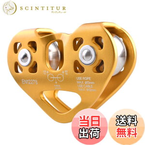 �y���������zTRIWONDER �N���C�~���O �v�[���[ �}�C�N�� �V���O���v�[���[ ���[�v�v�[���[ �Œ�^ ���� ���[�N ���X�L���[ �V���O���V�[�u �F�F30kN �C�G���[