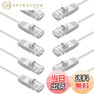 �y���������z10Gtek LAN�P�[�u�� CAT6 �C�[�T�l�b�g�P�[�u�� ��V�[���h�iUTP�j 10�{���� CAT6���� RJ45 �R�l�N�^ �t�� �l�b�g���[�N�P�[�u�� �F�FCAT6 10�{ �z���C�g�A�T�C�Y�F0.2m