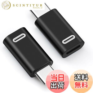 �y���������zleizhan ���C�g�j���O���X-USB-C�I�X�ϊ��A�_�v�^�i2�s�[�X�j�AType-C���C�g�j���OiPhone�f�[�^�]���A�_�v�^�A�X�g�����O�t���A�I�[�f�B�I/OTG�p�ł͂Ȃ� - �O���[ �F�F�u���b�N�A�T