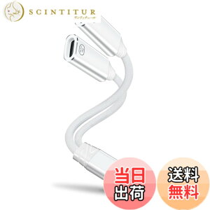 �y���������zleizhan 2-in-1 USB-C �w�b�h�z��/�[�d�A�_�v�^�[�AType-C 1����2�o�� �}���[�d + �I�[�f�B�I �f�[�^�]�� �F�F�z���C�g�A�T�C�Y�F100W 2USB-C