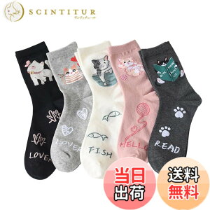 �y���������z[FASELE] �C�� ���f�B�[�X ������� �\�b�N�X ���q�p �w�l�p�\�b�N�X �N���[�\�b�N�X ���� �L ���� �ԕ� �R�b�g�� �� �ʋC�� �_�炩�� �t�� �H�~ �I�[���V�[�Y�� �~�b�h�`���[�u