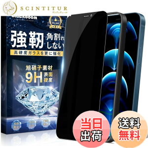 �y���������z�g�ѓd�b�ی�t�B����260723-6 �F�F�`�����h�~�A�T�C�Y�FiPhone 12 Pro Max