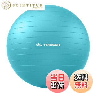 �y���������zTrideer �{�[���`�F�A ���K�{�[���`�F�A �G�N�T�T�C�Y�{�[���`�F�A �x�[�X�t�� �z�[���I�t�B�X�f�X�N�p ����{�[��&�o�����X�{�[���V�[�g ���Ɋɘa �z�[���W�� ���[�N�A�E�g�{