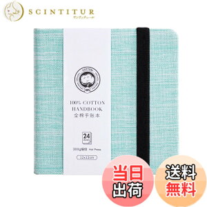 �y���������zLightwish �����` ���ʓ��L�� ��100% 300g 24�� �F�F���C�g�O���[���A�T�C�Y�F�ז�