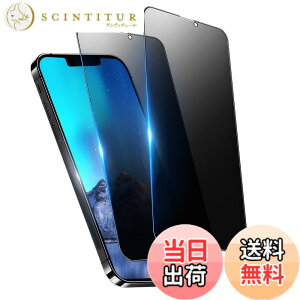 �y���������z�K���X�t�B���� �����K���X �ی�t�B���� pixel xperia iphone �p �F�F�`�����h�~�A�T�C�Y�FiPhone 13 mini
