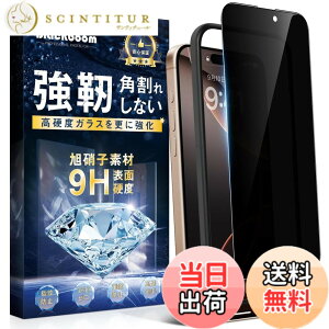 �y���������z�g�ѓd�b�ی�t�B����260723-6 �F�F�`�����h�~�A�T�C�Y�FiPhone 16 Pro