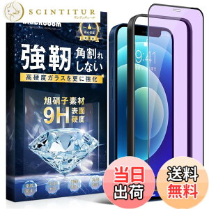 �y���������z�g�ѓd�b�ی�t�B����260723-6 �F�F�u���[���C�g�J�b�g�A�T�C�Y�FiPhone 12/12 Pro