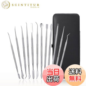 �y���������zaurochs �X�p�`���� �F�F�V���o�[