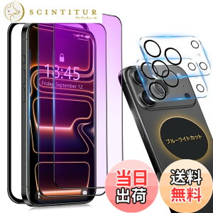 �y���������ziPhone 13 Pro �K���X�t�B���� �`�����h�~ ���炳�� �F�F�u���[���C�g�i�S�ʕی�j�A�T�C�Y�FiPhone17Promax