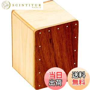 �y���������zMEINL Percussion �}�C�l�� �V�F�C�J�[ �~�j�J�z���^�V�F�C�J�[ �F�FOvangkol