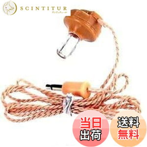 �y���������z�A�C�R�[�d�q �Z���~�b�N�C���z�� �v���O�t 1.2m CE-012P