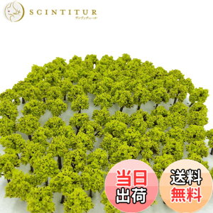 �y���������z�X�� �I�ׂ� �F ���� 50�{ 100�{ �yDauStage�z N�Q�[�W �W�I���} �S�� ���z �͌^ �p ���� ���i 3cm �F�F05�C���΁@50�{�A�T�C�Y�F50�{