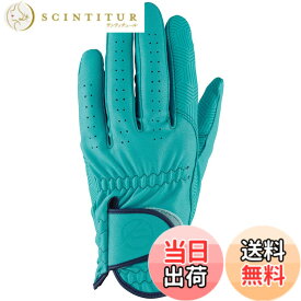 【送料無料】キャスコ(Kasco) ゴルフグローブ palette パレット メンズ SF-2014 色：ターコイズ、サイズ：L