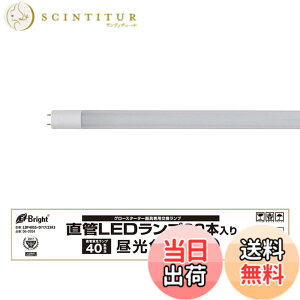 �y���������z����LED�����v 20�`���� G13 �����F �O���[�X�^�[�^�[����p �_�~�[�X�^�[�^�[�t 2�{��_LDF20SS�ED/8/102P1 06-0918 �I�[���d�@ �F�F�����F�A�T�C�Y�F40�`