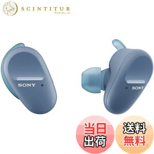 �y���������z�\�j�[ ���S���C�����X�m�C�Y�L�����Z�����O�C���z�� WF-SP800N �F�F�u���[�A�T�C�Y�F��