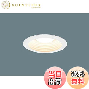 �y���������z�p�i�\�j�b�N(Panasonic)�V�䖄���^ ��125 �_�E�����C�gNNN61523W [LED�d���ʔ��� �����T�C�YE26]