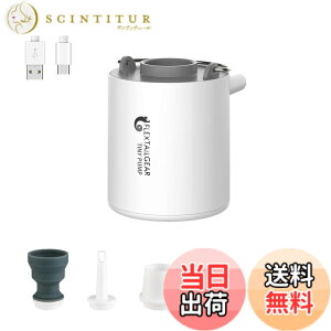 �y���������zFLEXTAILGEAR TINY PUMP �g�ю��G�A�[�|���v 1300mAh �d�r 13.5���b�g USB�[�d�� �Ōy�ʃ|���v 3.5Kpa ��C���� ��C���� �v�[���p�u�C ������ �^��� �F�F���C�g�O���[�A�T�C�Y�F1�� (x 1)