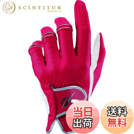 【送料無料】キャスコ(KASCO) ゴルフグローブ パーフェクトフィット SR-2017 色：レッド、サイズ：26cm