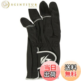 【送料無料】キャスコ(KASCO) ゴルフグローブ パーフェクトフィット SR-2017 色：ブラック、サイズ：25cm