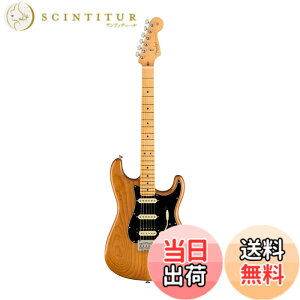 �y���������zFender �G���L�M�^�[ American Professional II Stratocaster HSS �F�F���[�X�e�b�h�p�C��