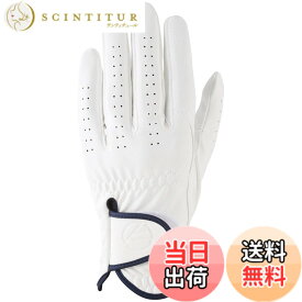 【送料無料】キャスコ(Kasco) ゴルフグローブ palette パレット メンズ SF-2014 色：ホワイト、サイズ：L
