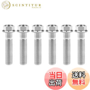�y���������zRuifu M8x15 20 25 30 35 40 45 50 55 60 65mm �I�[�g�o�C ���������t�����W �Z�p�{���g �s�b�` 1.25mm 6���� �F�F�`�^���A�T�C�Y�FM8x35mm