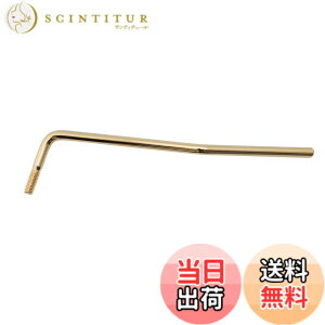 �y���������zMusiclily Pro�~���K�i6mm�l�W�� �X�`�[���g�������A�[�� �C���|�[�g�X�g���g�G���L�M�^�[�p �F�F�S�[���h
