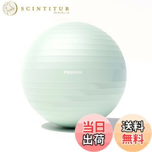 �y���������zPROIRON �o�����X�{�[�� �΂�񂷂ځ[�� 55cm 65cm 75cm (6�F) ���� �W���{�[�� �t�B�b�g�l�X�{�[�� �A���`�o�[�X�g �ω׏d300kg �n���h�|���v�t �F�F���C�g�O���[���A�T�C�Y�F68-75cm/ L