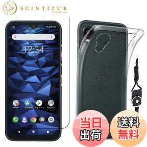 �y���������z�t�B���� kemopt �F�F�����A�T�C�Y�FD-�y1+1�zDIGNO BX2
