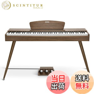 �y���������zDonner �d�q�s�A�m 88���� DDP-80 �F�F�E�H�[���i�b�g�A�T�C�Y�FDDP-80