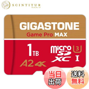 �y���������zGIGASTONE �}�C�N��sd�J�[�h 512-4M-1 Core Group �F�F1TB Game Pro Max 1���Z�b�g