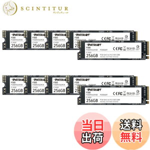�y���������zPatriot P300 Internal SSD - NVMe PCIe Gen 3x4 - M.2 2280-10 Pack Parent �F�F�u���b�N�A�T�C�Y�F256GB 10 Pack